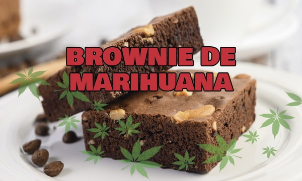 brownie de marihuana